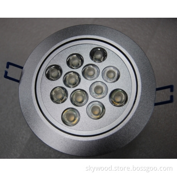 12x2W LED Ceiling Light
